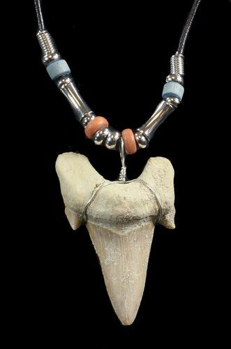 Fossil Otodus Shark Tooth Necklace #43070